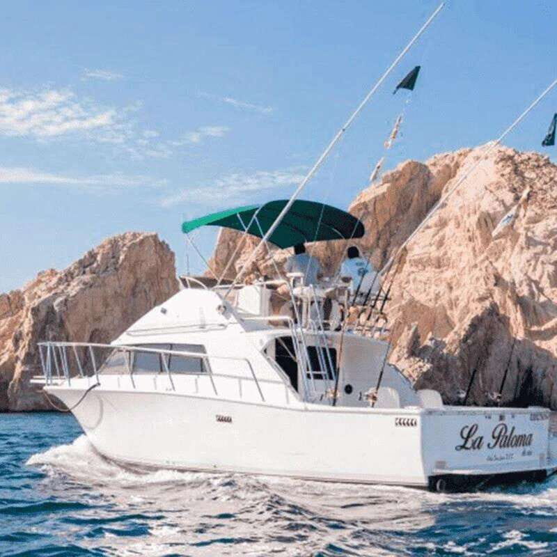 Cabo San Lucas: 33' Bertram "La Paloma" Fishing Charter - What’s Included and What’s Not