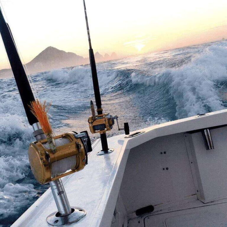 Cabo San Lucas: 33' Blackfin "Wahoo!" Fishing Charter - Practical Details and Considerations