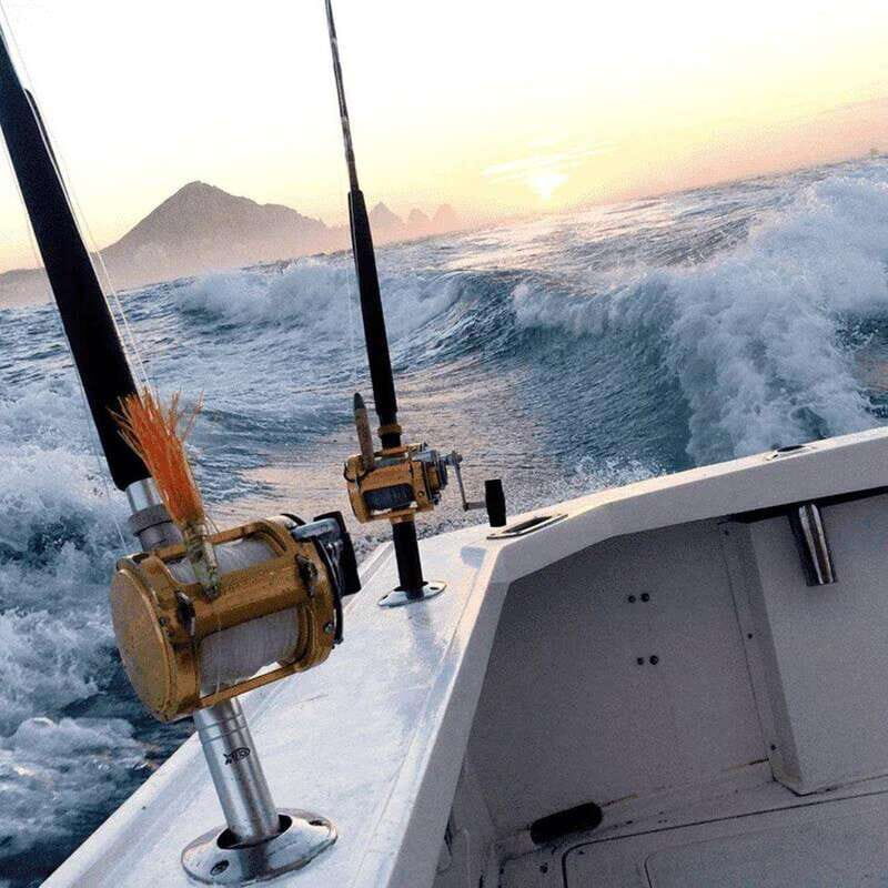 Cabo San Lucas: 33' Blackfin "Wahoo!" Fishing Charter - Practical Details and Considerations