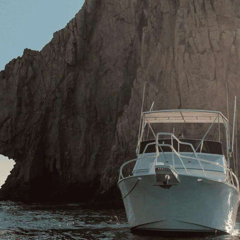 Cabo San Lucas: 38' Striker "Reel Medicine" Fishing Charter - What’s Included and What to Expect