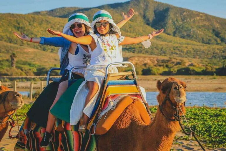 Cabo San Lucas: ATV/Camel/Horse Combo Tour - What’s Included and What to Expect