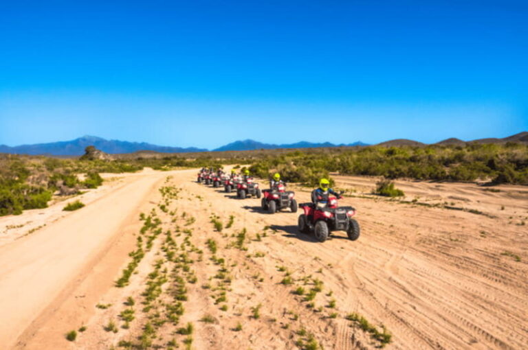 Cabo San Lucas: ATV Desert Adventure & Mexican Buffet - An Exciting Ride Through Baja’s Diverse Landscapes