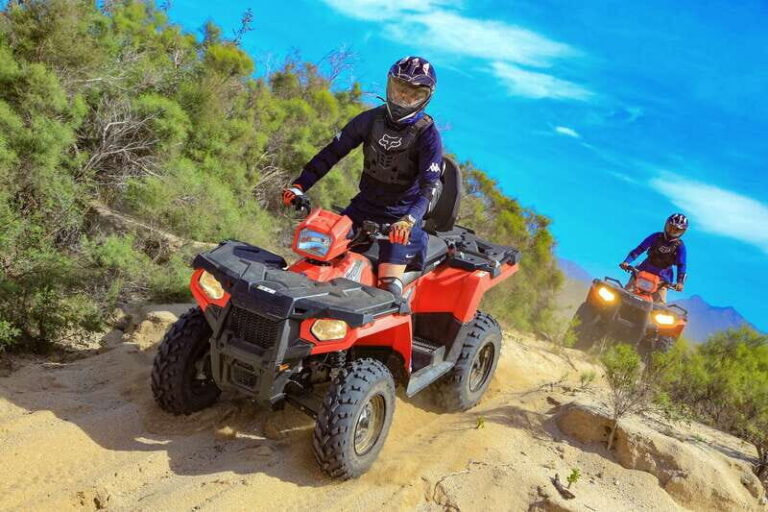 Cabo San Lucas: ATV Desert Tour with Mexican lunch - Who This Tour Is Best For