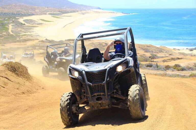 Cabo San Lucas: Camel Ride & Off-Road UTV Combo Adventure - Who Would Love This Tour?