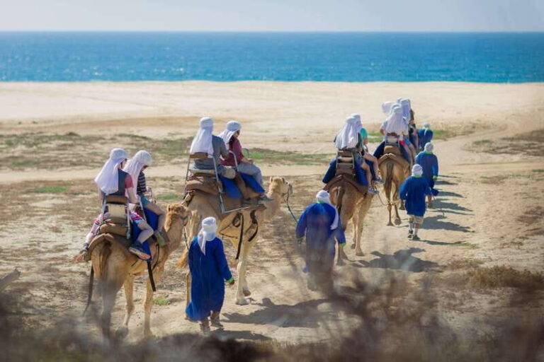 Cabo San Lucas: Camel Safari Tour with Lunch and Tequila - What’s Included and What to Expect