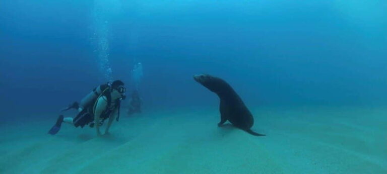 Cabo San Lucas: Discover Scuba Diving Experience - What’s Included and What to Expect
