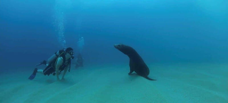 Cabo San Lucas: Discover Scuba Diving Experience - What’s Included and What to Expect