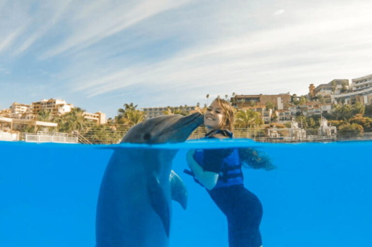 Cabo San Lucas: Dolphin Premium Swim Interactive Adventure - What to Expect from Your Dolphin Encounter