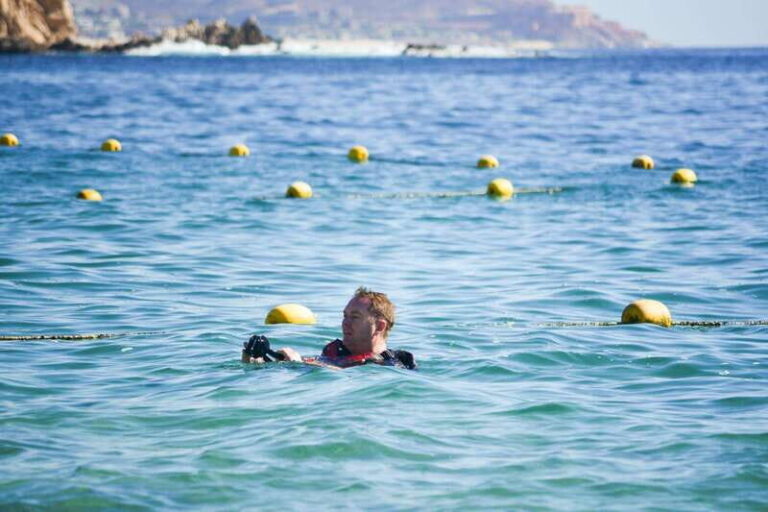 Cabo San Lucas: Guided Snorkeling Tour with Transportation - Value and Overall Impressions