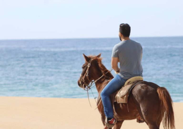 Cabo San Lucas: Horseback Riding Adventure - Who Is This Tour Best For?