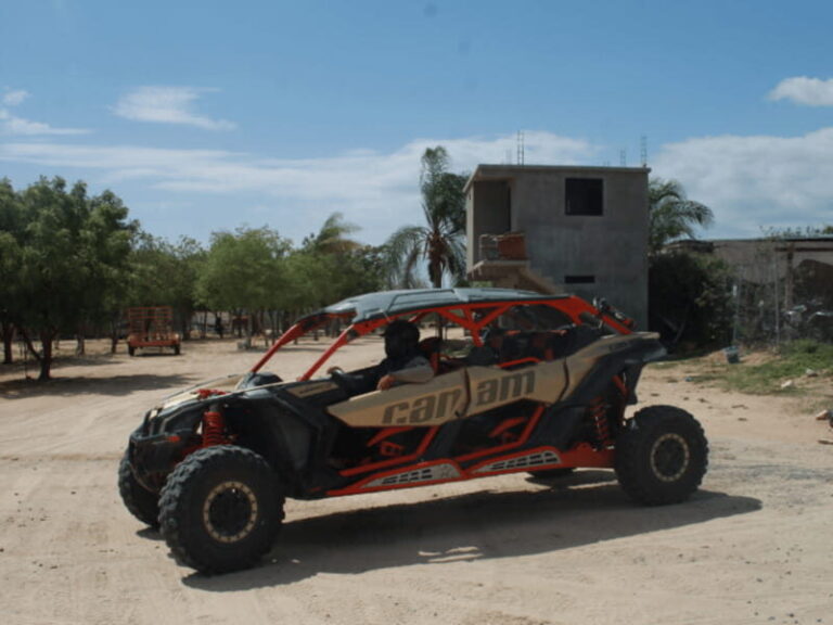 Cabo San Lucas: Migriño Beach & Desert UTV Adventure - What to Expect from the UTV Adventure in Cabo San Lucas