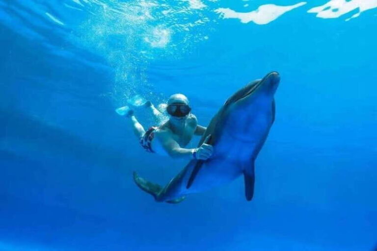 Cabo San Lucas/San Jose del Cabo: Dolphin Encounter - Who Is This Tour Best For?