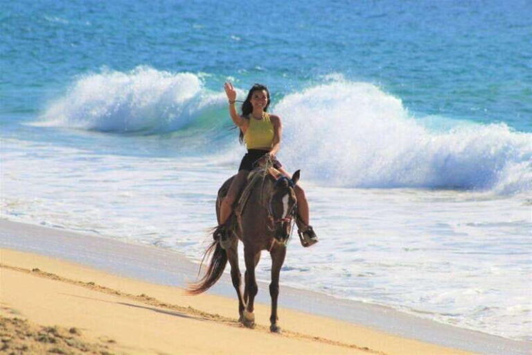 Cabo San Lucas: Scenic Horseback Ride Along the Corridor - Introduction to the Scenic Horseback Ride