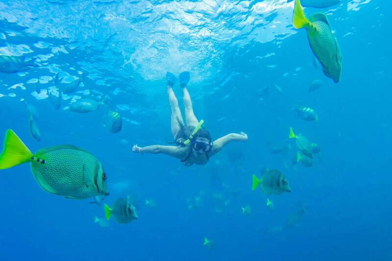 Cabo San Lucas: Snorkel, Paddle-board, and/or Kayak Tour - Final Thoughts: Is It Worth It?