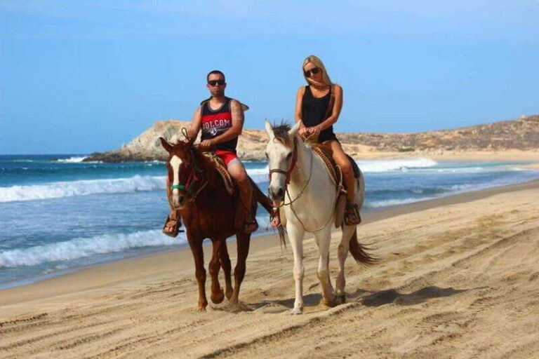 Cabo San Lucas: Thrilling ATV and Horseback Riding Combo - The Bonus: Guided Tequila Tasting