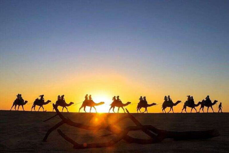Cabo: Sunset Camel Ride and ATV Combo Adventure - An Honest Look at the Experience