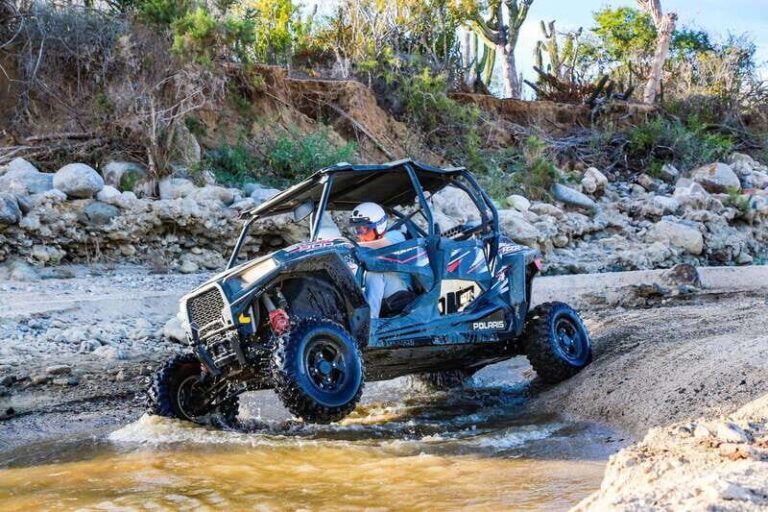 Cabo : UTV and Camel Ride in the Desert - The Detailed Itinerary