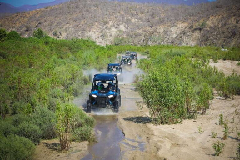 Cabo: UTV Off-Roading, Mexican Lunch, and Tequila - Why the Mexican Buffet Matters