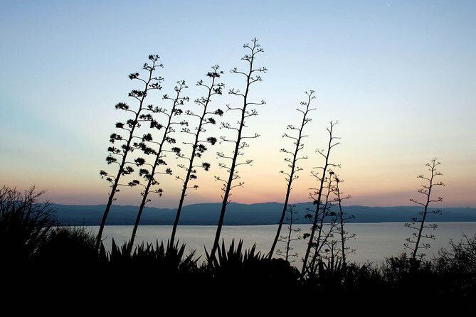 Cagliari urban trekking experience: the city you did not expect - FAQ