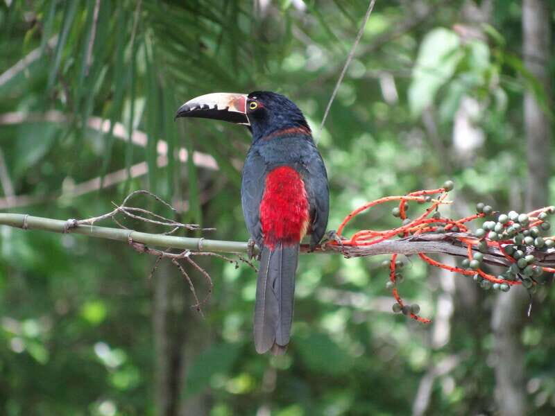 Calakmul: Two Days Hidden Palaces in the Jungle - The Value of the Experience