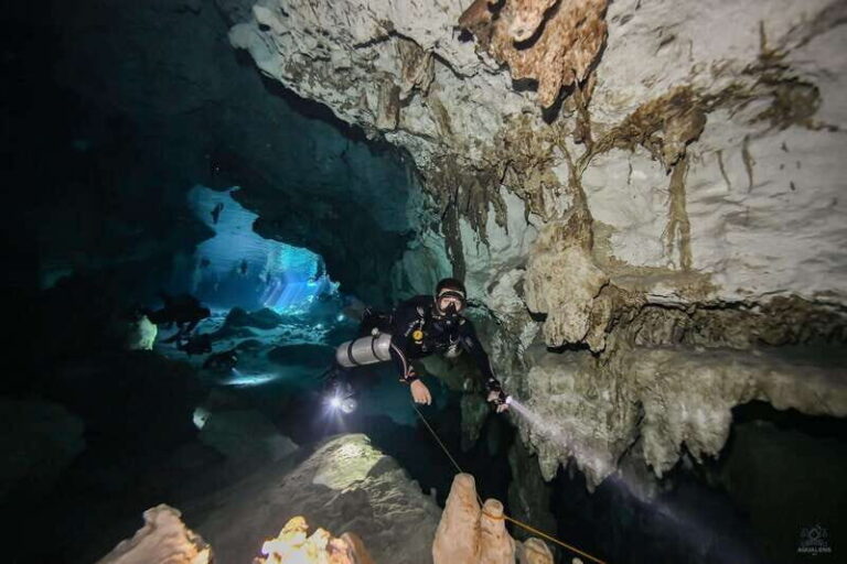 Cancun 2 Cenote Dives: The Pit & Dos Ojos - Certified Divers - A Closer Look at the Itinerary