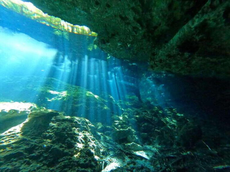 Cancun 2 Cenote Dives: The Pit + Nicte Ha - Certified Divers - The Experience of the Dives