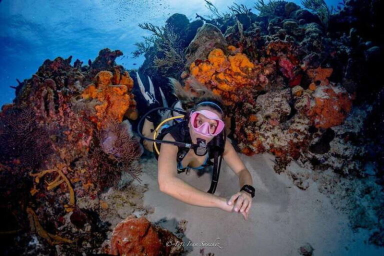 Cancun: 2-Tank Certified Diving: Explore Shallow Reefs - The Sum Up