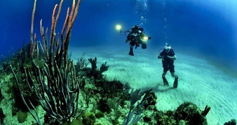 Cancún: Cozumel 2-Tank Diving Tour with Lunch & Transfers - What to Expect from the Details