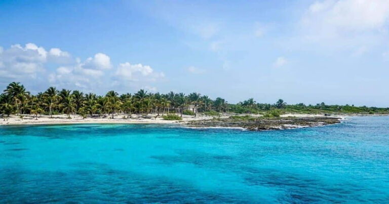 Cancun: Cozumel Diving for Beginners - The Itinerary: What to Expect