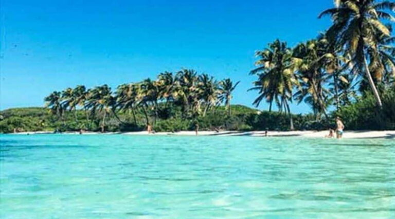Cancún - Daytrip at Contoy Island - The Details: Transportation, Timing, and Group Dynamics