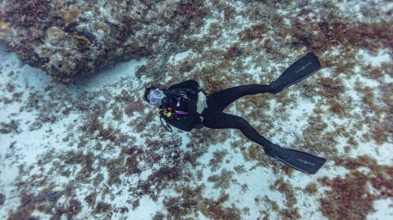 Cancun: Deep Reefs Exploration For Certified Divers - Frequently Asked Questions