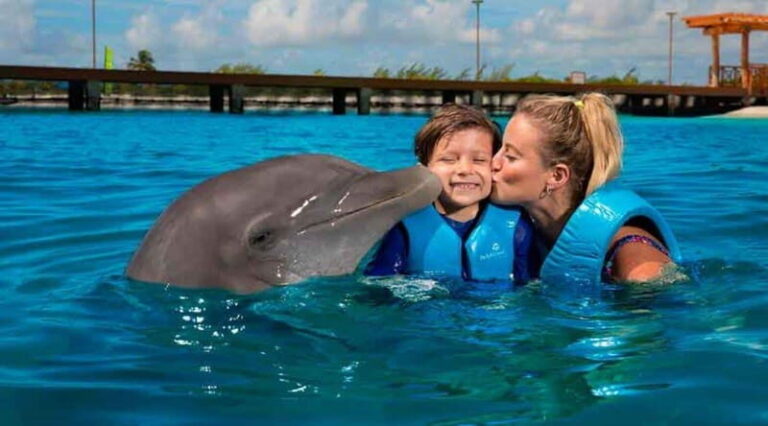 Cancún - Dolphin Cat & Swim Adventure - What Makes This Tour Stand Out