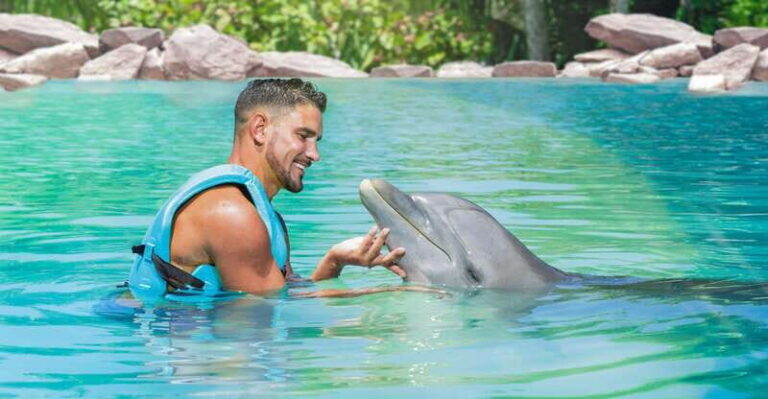 CANCUN: Dolphin Royal Swim with buffet and soft drinks - What to Expect from the Dolphin Royal Swim