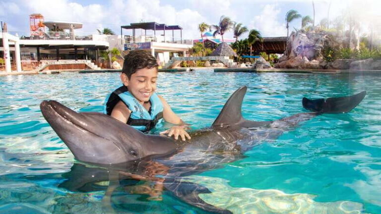 CANCUN: Dolphin Swim Adventure with buffet and soft drinks - Additional Details: Practical Tips and Insights