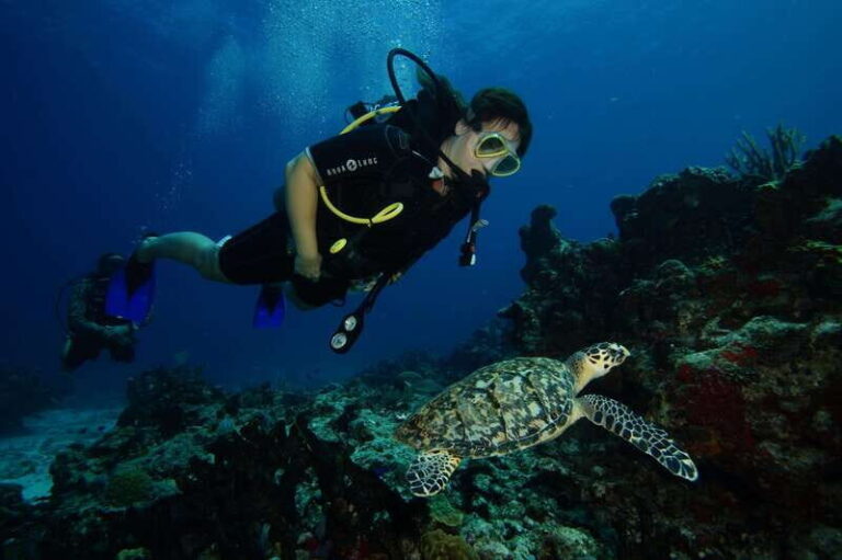 CANCUN: FIRST TIME DIVERS CANCUN - Why This Tour Might Be the Best Choice