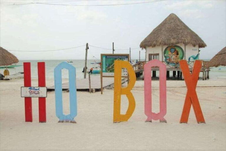 Cancun: Holbox Island Birdwatching and Wildlife Adventure - Practical Details and Considerations