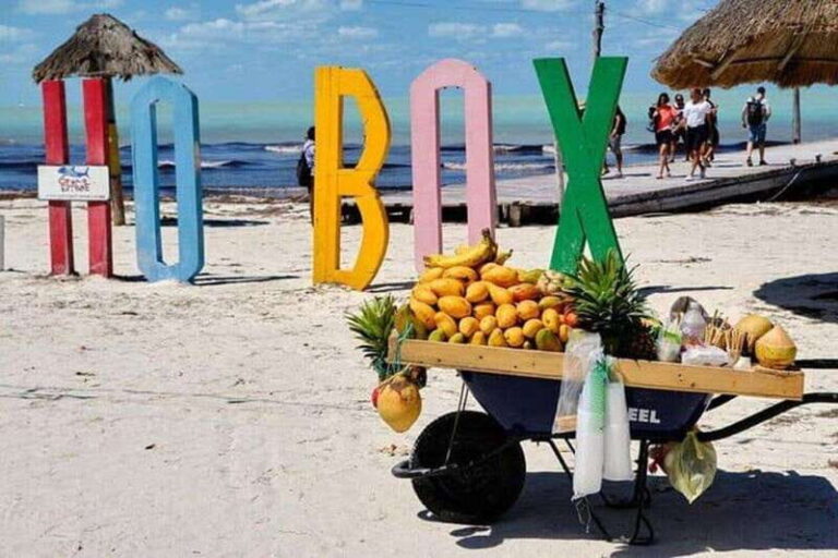 Cancun: Holbox plus Island, Punta Mosquito Trip with Lunch - Is This Tour Worth It?