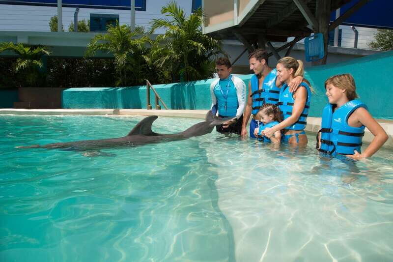 Dolphin Encounter Pool