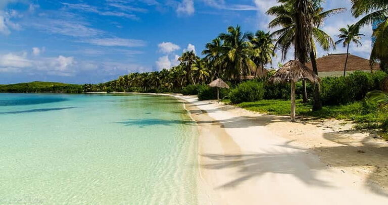 Cancun: Isla Contoy and Isla Mujeres Combo Tour - What Makes This Tour Stand Out?