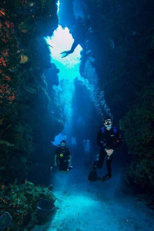 Cancun: Lionfish Expedition Package - Final Thoughts