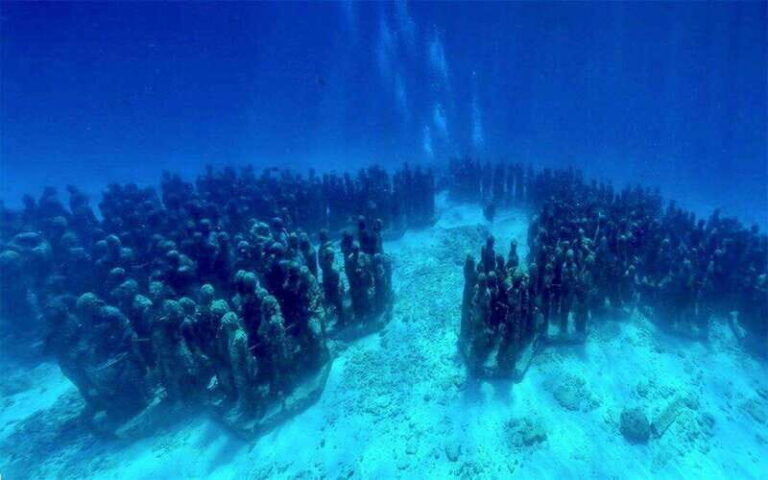 Cancun: MUSA Diving for certified divers morning dive trip - Marine Life and Reef Ecosystems