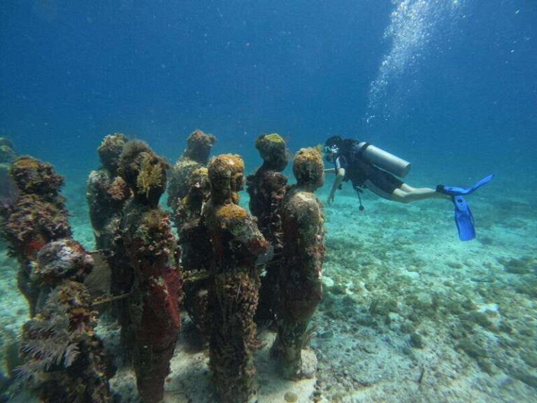 Cancun: Musa Underwater Museum & Reef Discover Scuba Diving - Detailed Itinerary Breakdown