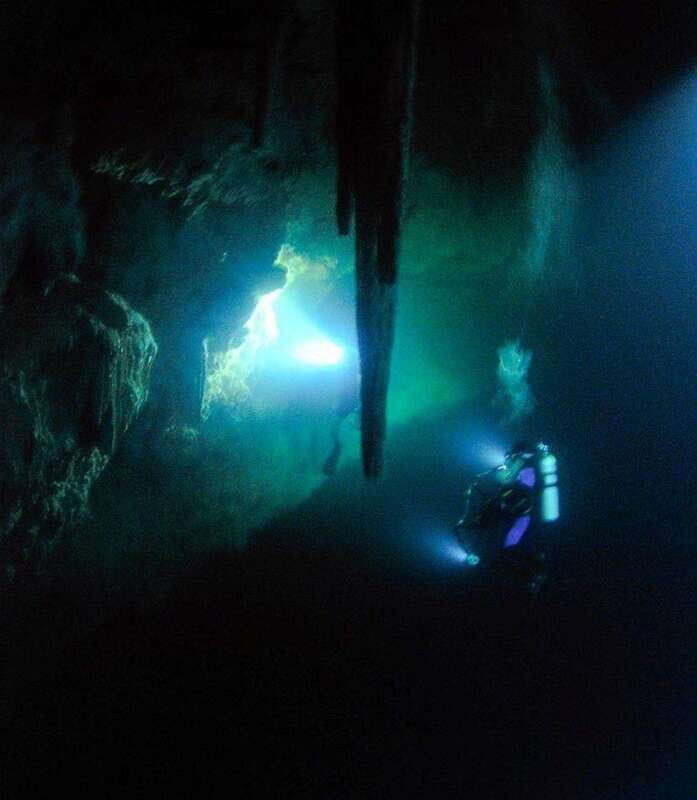 Cancun or Isla Mujeres Reef Diving for Beginners - Overview of the Tour Experience