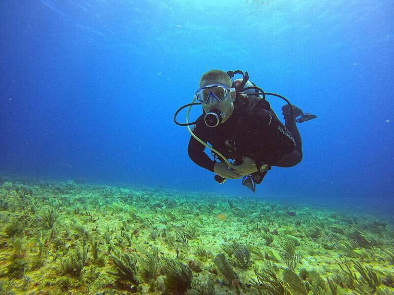 Cancun: Scuba Diving for Certified Divers, 3 options to dive - Why This Tour Delivers Value