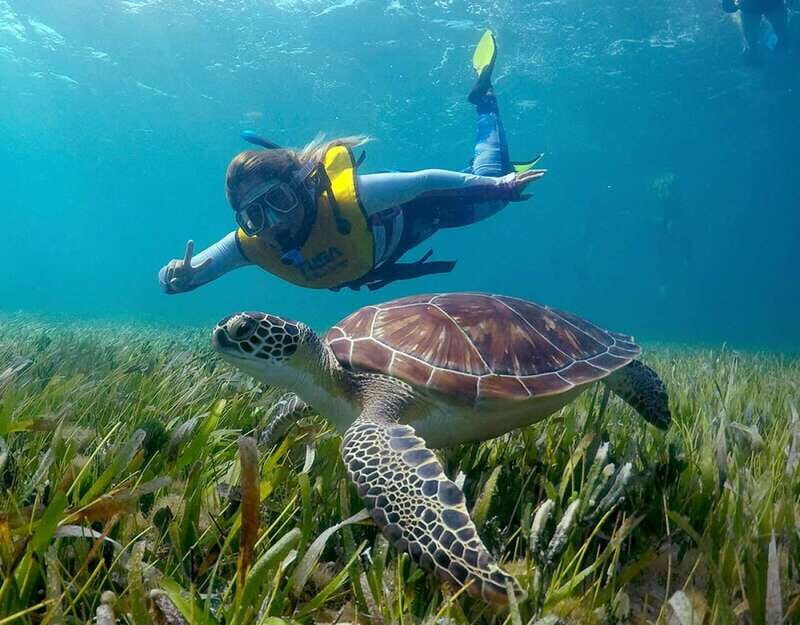 Cancun: Snorkeling Boat Trip - Key Points