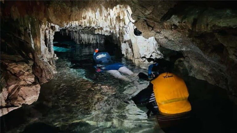 Cancun: Tulum & Cenotes Private Tour - Who Will Love This Tour?