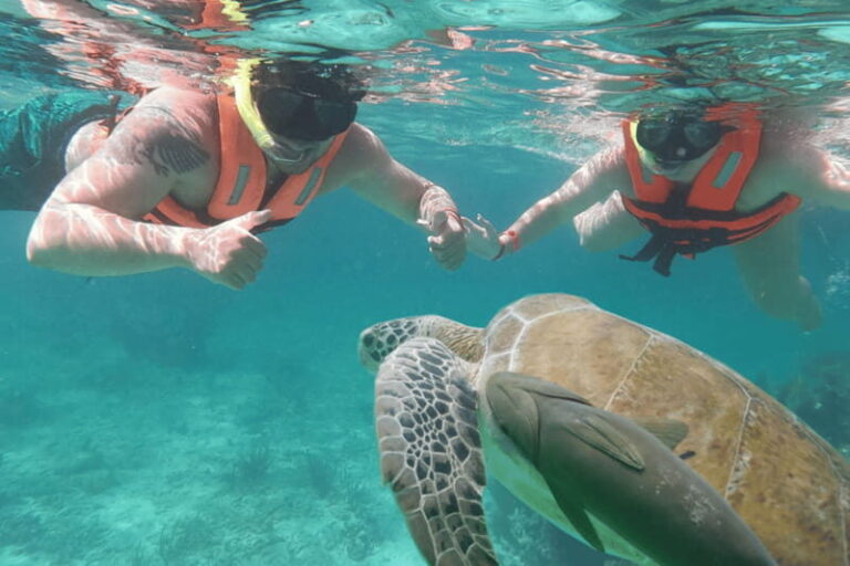 Cancun: Tulum Mayan Site & Snorkel with Sea Turtles, Akumal - The Practicalities: Timing, Group Size, and Comfort