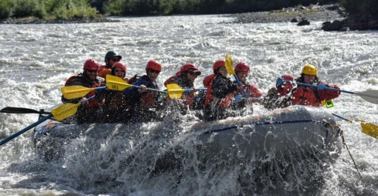 Canyon Run: Denali National Park Class IV Whitewater Rafting - The Itinerary and What You Can Expect