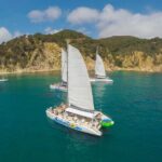 Catamaran ride -Costa Brava with barbecue and drinks. Familiar. - What Sets This Tour Apart?