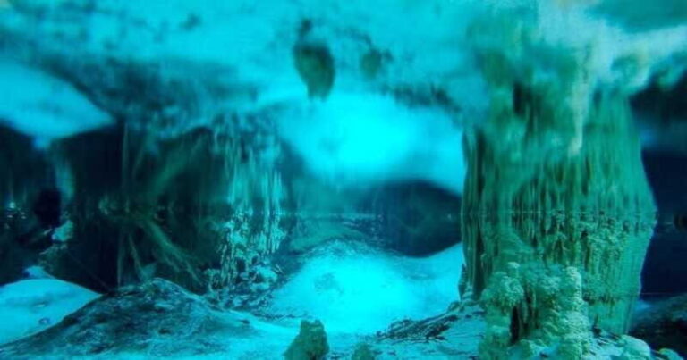 Cenote Paradise Lagoon - The Itinerary Breakdown